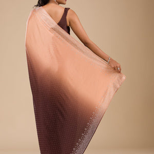 Brown Zariwork Georgette Saree