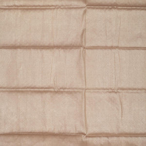 Grey Zariwork Pure Silk Saree