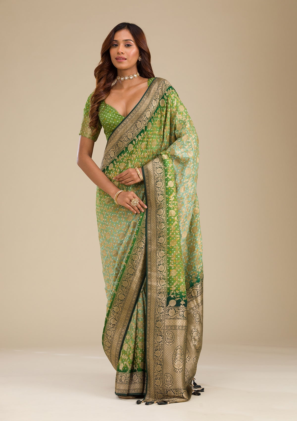 Leaf Green Zariwork Georgette Saree