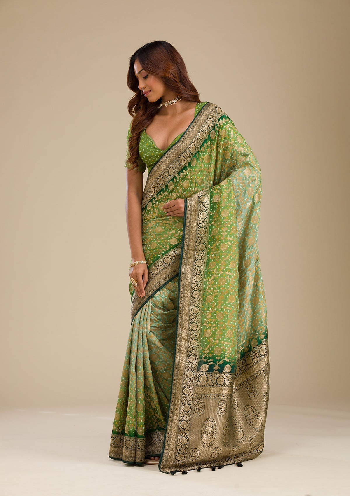 Leaf Green Zariwork Georgette Saree