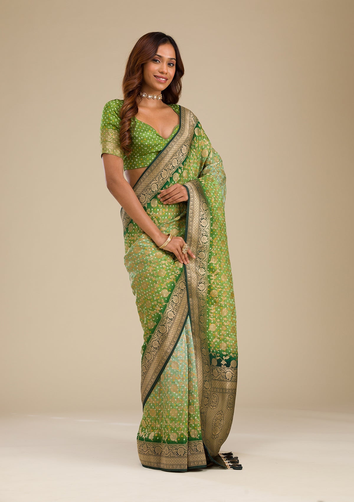 Leaf Green Zariwork Georgette Saree