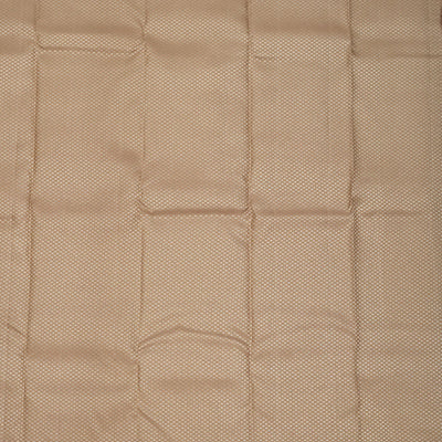 Light Brown Zariwork Pure Silk Saree