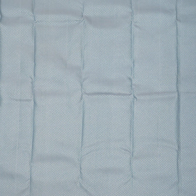 Light Grey Zariwork Pure Silk Saree