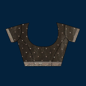 Mehendi Sequins Tissue Saree