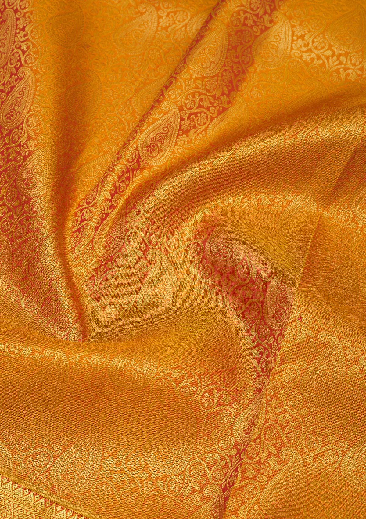 Mustard Zariwork Pure Silk Saree