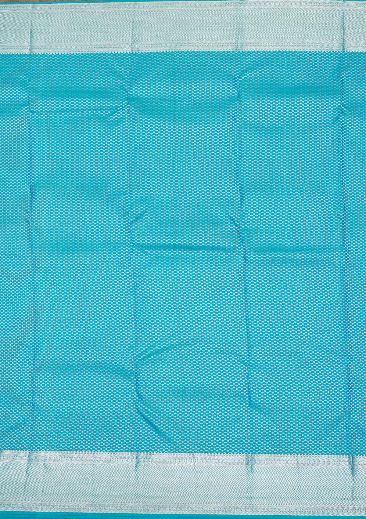 Sky Blue Zariwork Pure Silk Saree