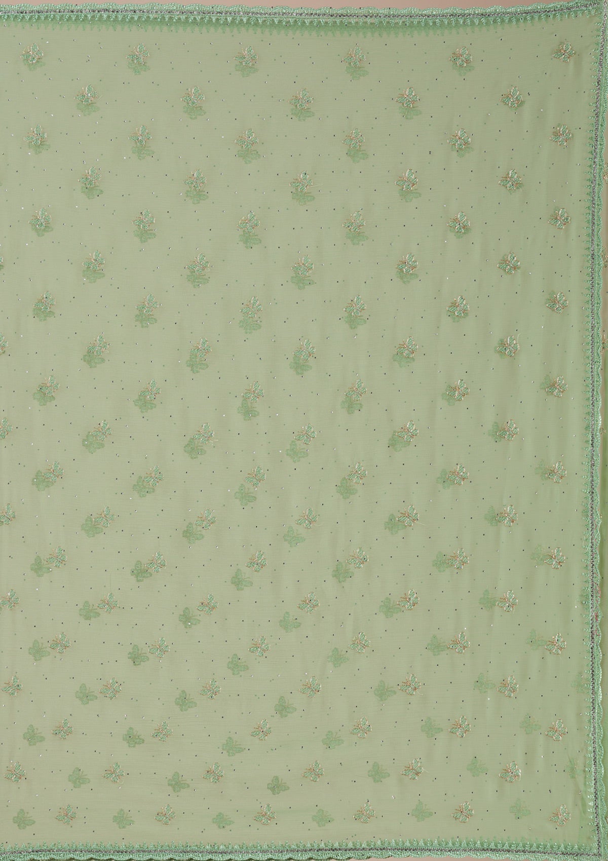 Pista Green Threadwork Chiffon Saree