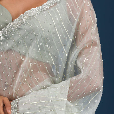 Pista Green Stonework Tissue Saree