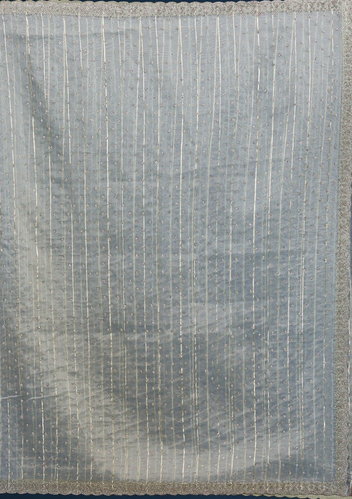 Pista Green Stonework Tissue Saree
