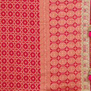 Rani Pink Gotapatti Chiffon Saree