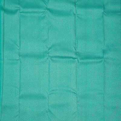 Sea Green Zariwork Pure Silk Saree