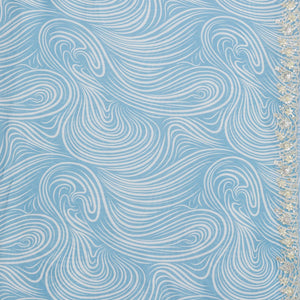 Sky Blue Zariwork Georgette Saree