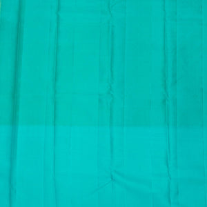 Sky Blue Zariwork Pure Silk Saree