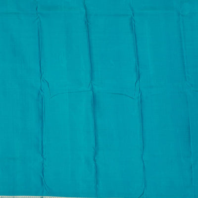 Turquoise Blue Zariwork Pure Silk Saree