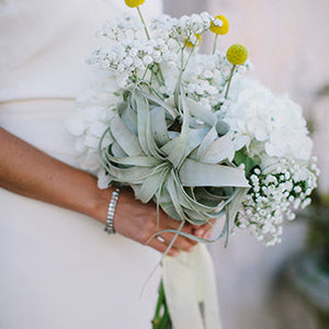 Laid Back Modern Wedding