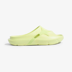 Slides LIME