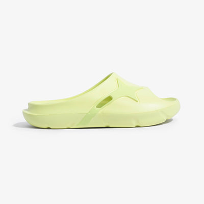 Slides LIME