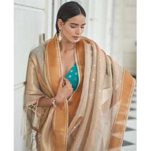 Light Beige Festive Wear Mirror Work Handloom Silk Saree