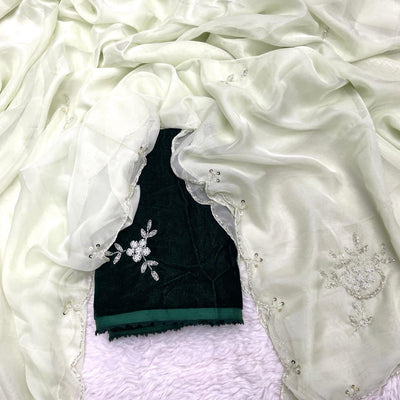 Light Green Soft Organza Saree with Exquisite Handwork & Velvet Silk Blouse