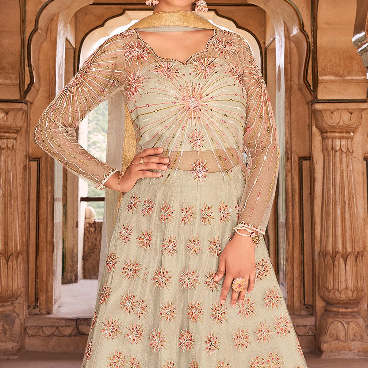 Light Grey Partywear Embroidered & Swarovski Work Soft Net Gown