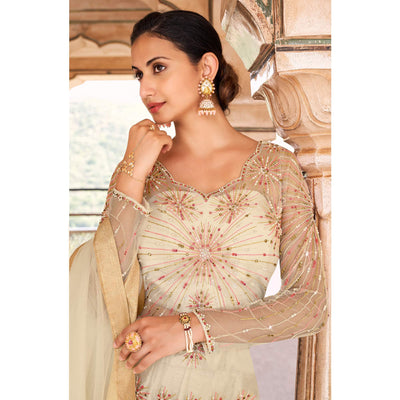 Light Grey Partywear Embroidered & Swarovski Work Soft Net Gown