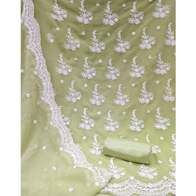 Light Pista Embroidered Georgette Dress Material