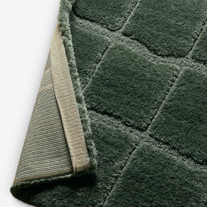 Krisha Rug