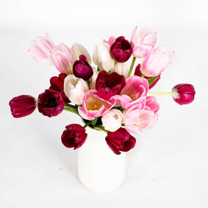 Tulip Love Valentine Bouquet