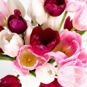 Tulip Love Valentine Bouquet