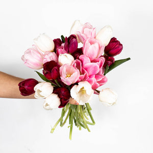 Tulip Love Valentine Bouquet