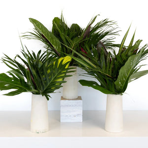 Lush Green Amazon Greenery Centerpiece