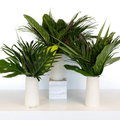 Lush Green Amazon Greenery Centerpiece