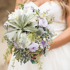 Mermaid Themed Beach Wedding