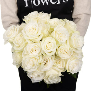 Mia White Rose