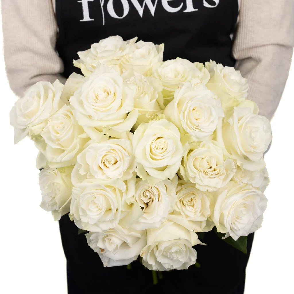 Mia White Rose