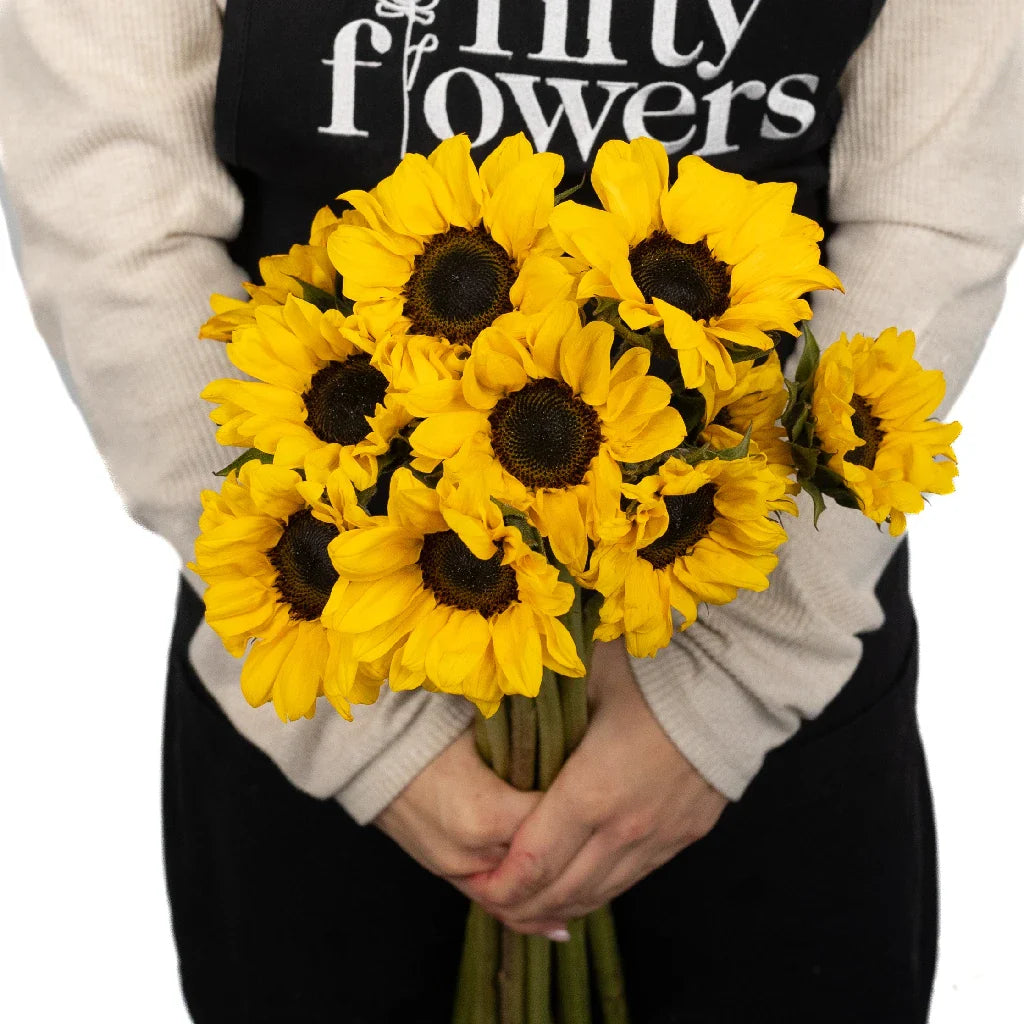 Mini Vincent Sunflowers