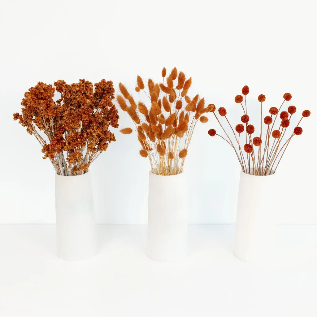 Mocha Brown Dried Flower Pack