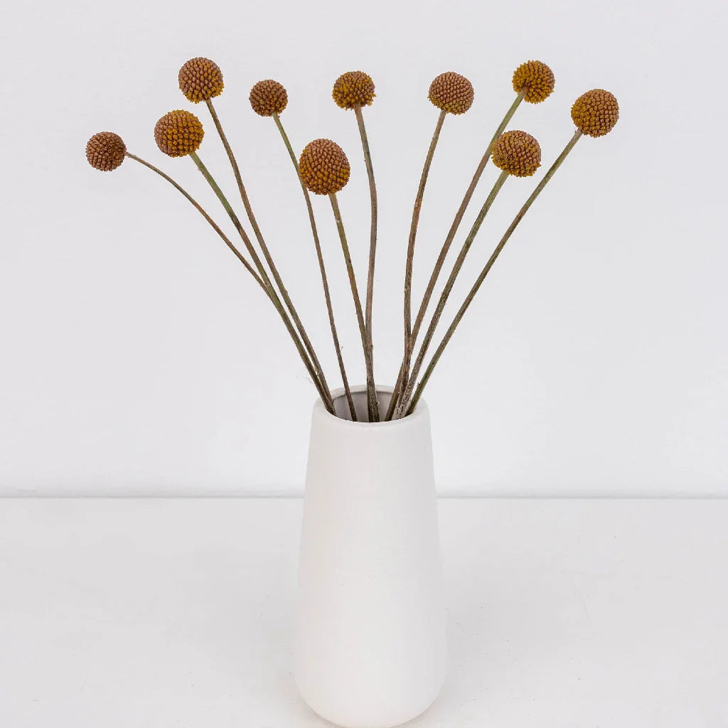 Mocha Mousse Craspedia Billy Balls