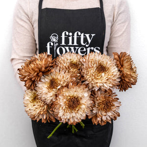 Mocha Mousse Cremon Mum