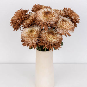 Mocha Mousse Cremon Mum