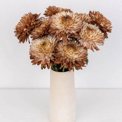 Mocha Mousse Cremon Mum