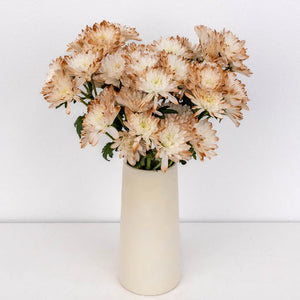 Mocha Mousse Enhanced Pom Flower