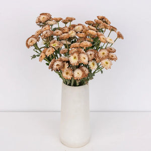 Mocha Mousse Enhanced Mini Button Flower