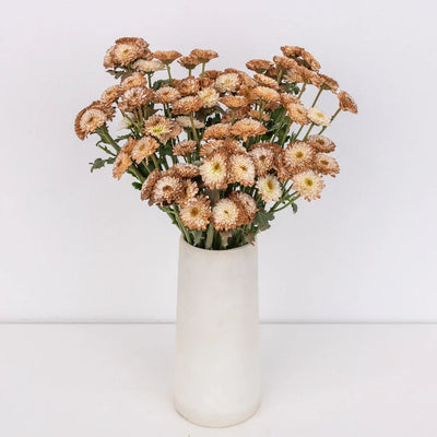 Mocha Mousse Enhanced Mini Button Flower