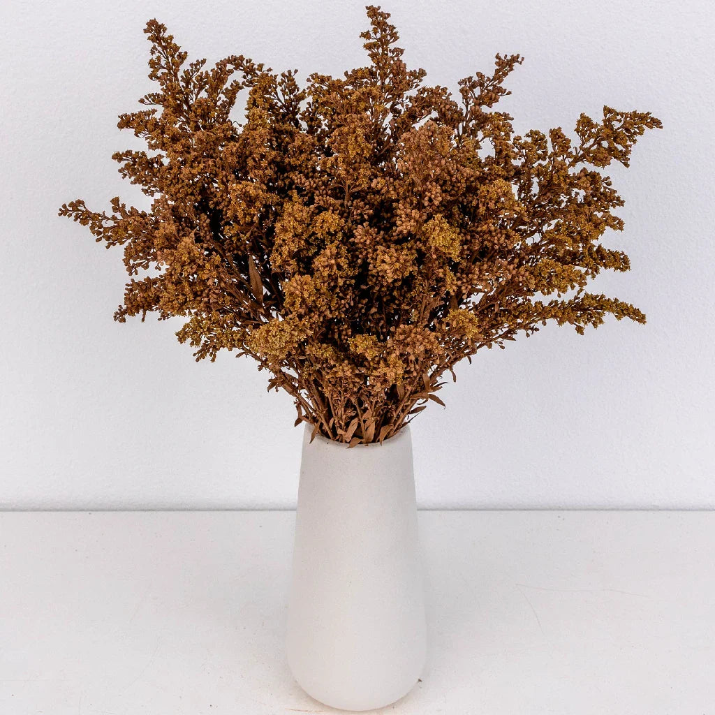 Mocha Mousse Enhanced Solidago Flowers
