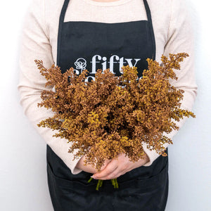 Mocha Mousse Enhanced Solidago Flowers