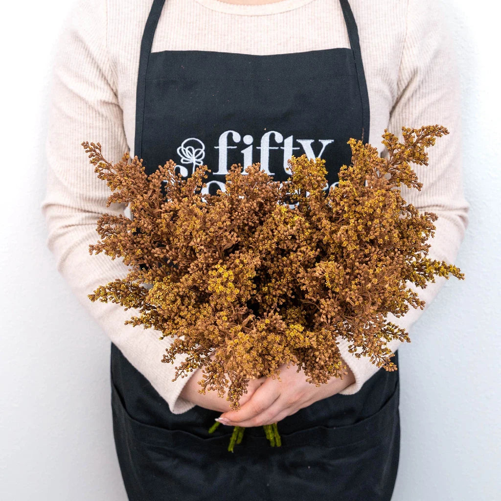 Mocha Mousse Enhanced Solidago Flowers