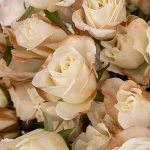 Mocha Mousse Ivory Spray Roses
