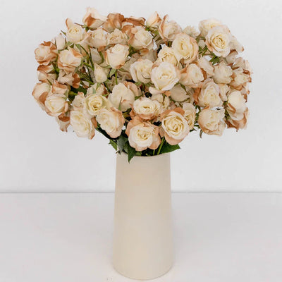 Mocha Mousse Ivory Spray Roses