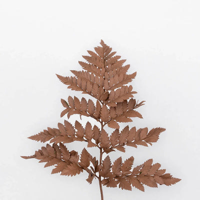 Mocha Mousse Leather Leaf Greenery